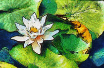 Water Lily, Van Gogh Style von Graham Prentice