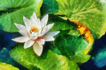 Water Lily, Monet Style by Graham Prentice