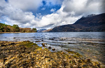 Loch Maree in the Scottish Highlands by Jacqi Elmslie
