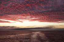 Sunset Galapagos von Roland Spiegler