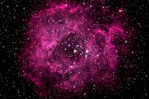Rosettennebel - Rosette Nebula -  von monarch