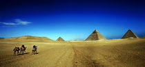Horse riding approach to the Pyramids by Armend Kabashi