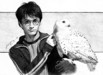 Harry Potter and Hedwig by frank-gotama