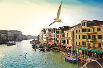 Grand canal, view from Rialto bridge, Venice by tkdesign