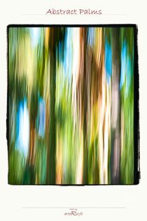 Abstract Palms by arteralfo