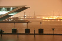 Dockland und Köhlbrandbrücke bei Nacht by alsterimages