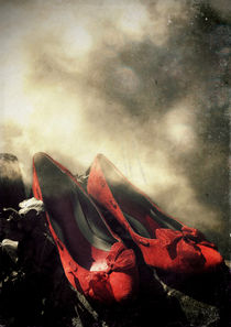 red shoes von Sybille Sterk