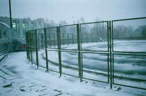 protection of the thrown nursery of an athletic field, Russia von yulia-dubovikova