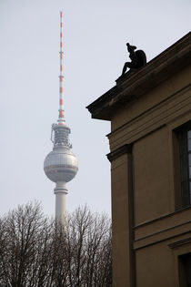 Fernsehturm Berlin von Falko Follert