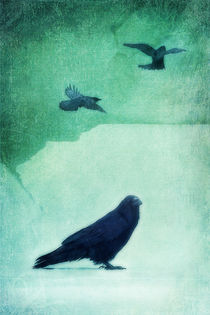 spirit bird by Priska  Wettstein