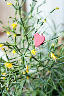 heart in a flower by yulia-dubovikova