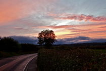 Country Sunset von James Biggadike