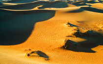 Desert Shadows by Graham Prentice