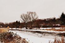 Winter am Fluß 3 von alana