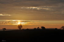 Sonnenaufgang über dem Feld von alana