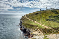 Anvil Point Lighthouse Dorset by Alice Gosling
