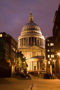 St Pauls Cathedral at London Attractions  by David J French