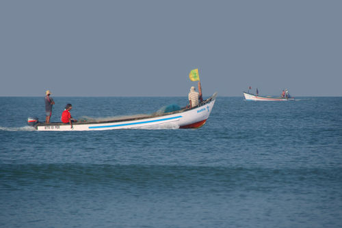 Fishing-boats-north-goa