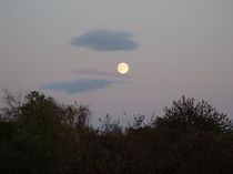 Full Moon over Lomma  von Sarah Osterman