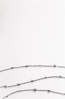 Barbed wire covered with frost von Lars Hallstrom
