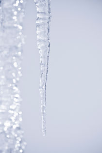Close-up of icicles by Lars Hallstrom