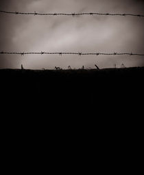 Wall with broken glass and barbed wire by Lars Hallstrom