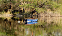 Boat  at Muckross Lake