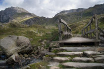 Pathway to Tryfan by Wayne Molyneux