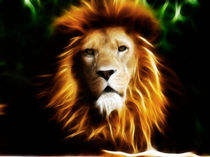 Lion by Sam Smith