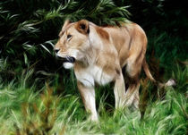 Lioness by Sam Smith