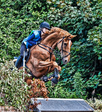 Horse jump by Sam Smith