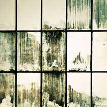 Windows by Lars Hallstrom