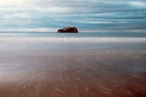 Beach View Of Bass Rock by Amanda Finan