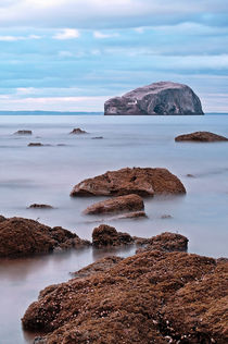 The Bass Rock by Amanda Finan