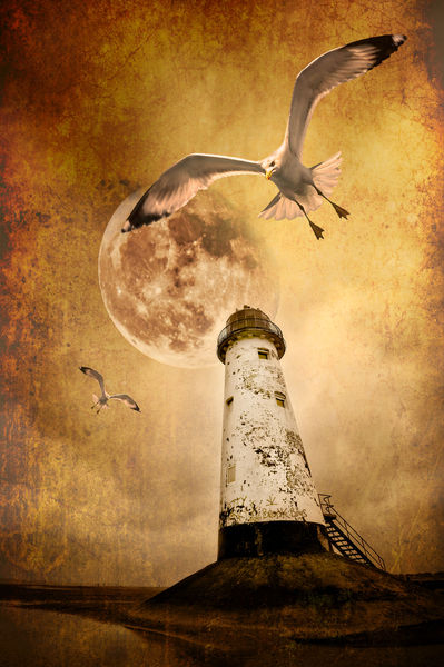 Lighthouse-lunar-gulls