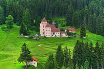 Alte Burg in den Alpen von Wolfgang Dufner