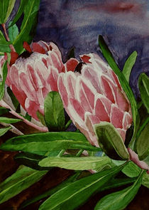 Protea von Marie Luise Strohmenger
