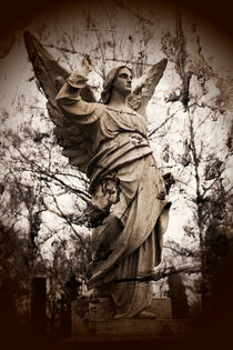 old stone angel by studioflara