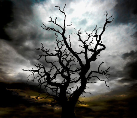 Skeleton-tree