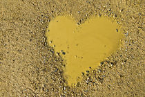 love can be a bit of a muddy puddle by meirion matthias