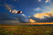 low flying evening spitfire by meirion matthias