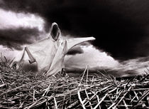 Scarecrow by Sergio Bondioni