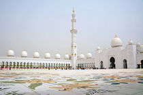 Moschee Abu Dhabi von Daniela  Bergmann