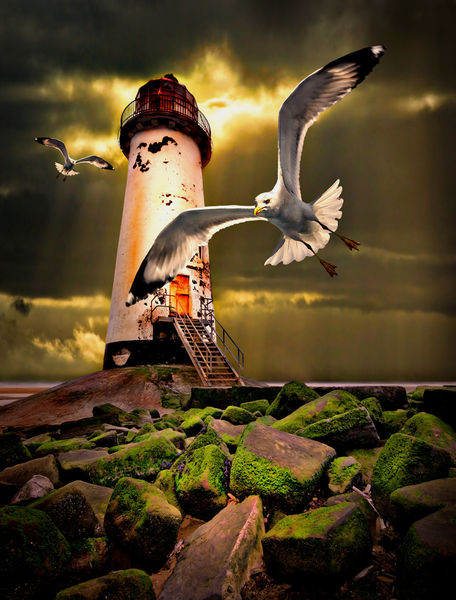 Lighthouse-and-gulls-improved