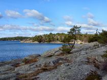 Ingarö Island 2 in colour  by Sarah Osterman