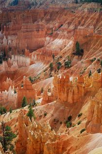Bryce Canyon von usaexplorer