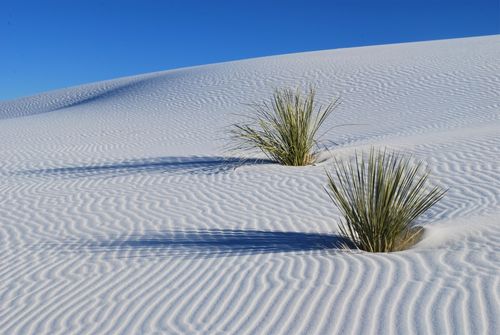 1-white-sands
