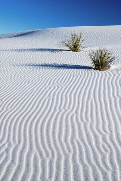 1-white-sands
