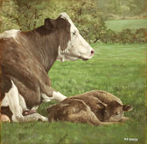 cow and calf in field by Martin  Davey