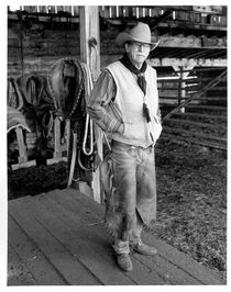 Cow boss, Wyoming USA von Bob Soltys